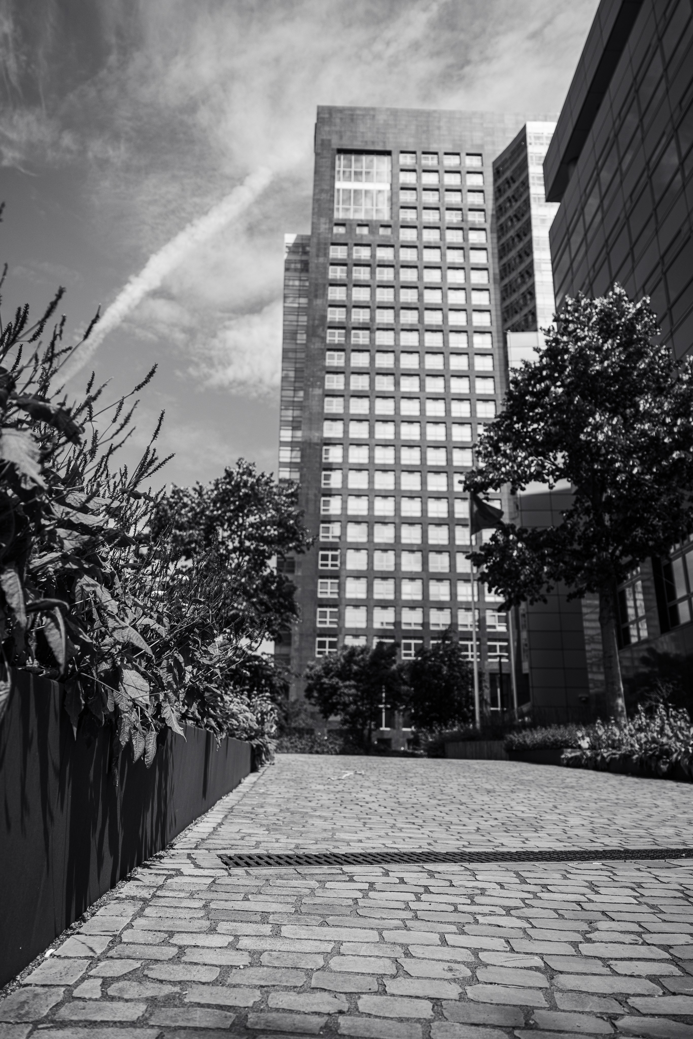 Bart-ZW-20 1 - Bouwproject - Bart van der Linden - DAV&TRiA Bouwmanagement